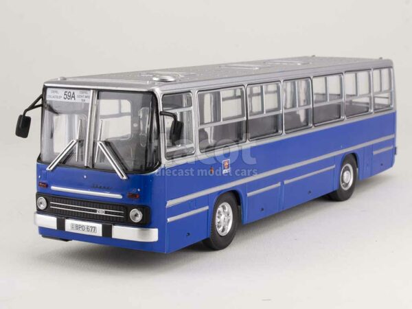 Busz